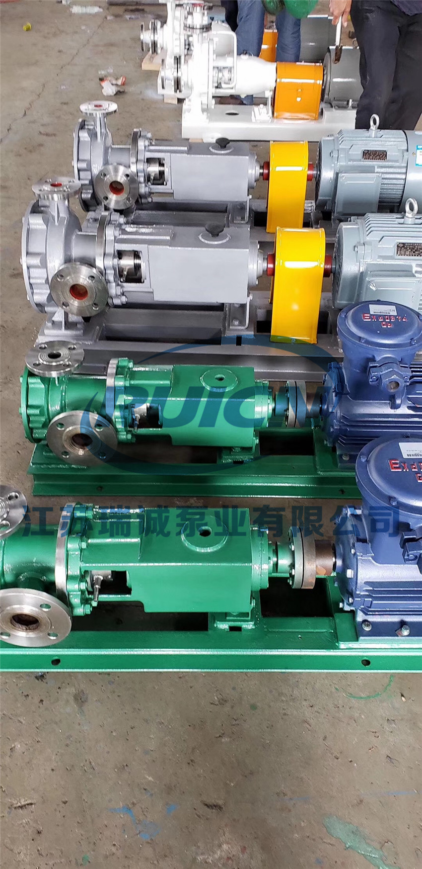 1594691333149734.jpg IMG_4139.JPG